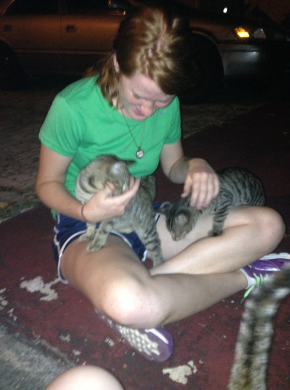 Going for a walk sometimes turns into being immobilized by 5 stray kittens...